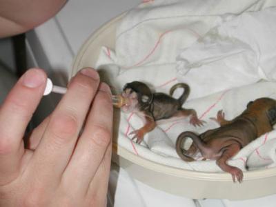 Прикрепленное изображение: 1.jpg